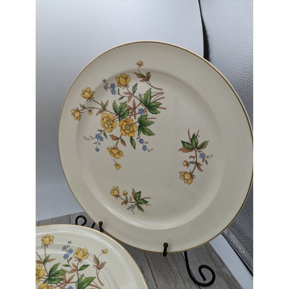 Vintage Set 4 Taylor Smith Taylor Dinner Plates 10" Yellow Buttercups TST237 - Picture 2 of 9